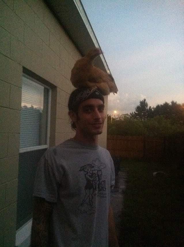 brian cassavitis