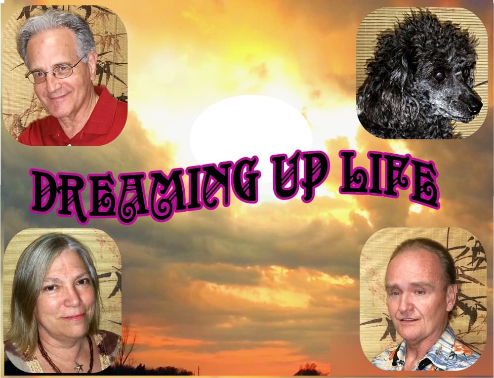 User avatar for Dreaming Up Life