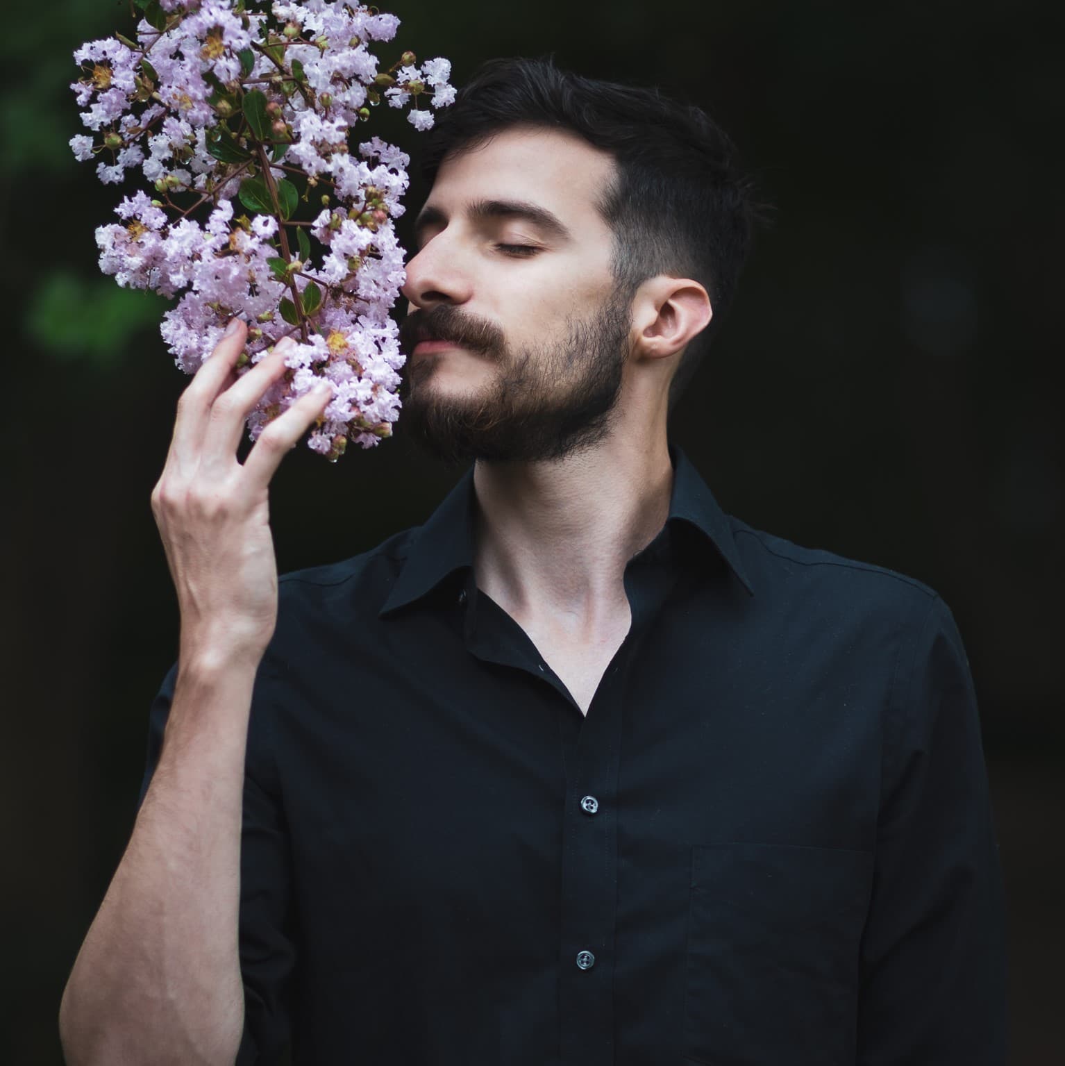 User avatar for Violet Dive