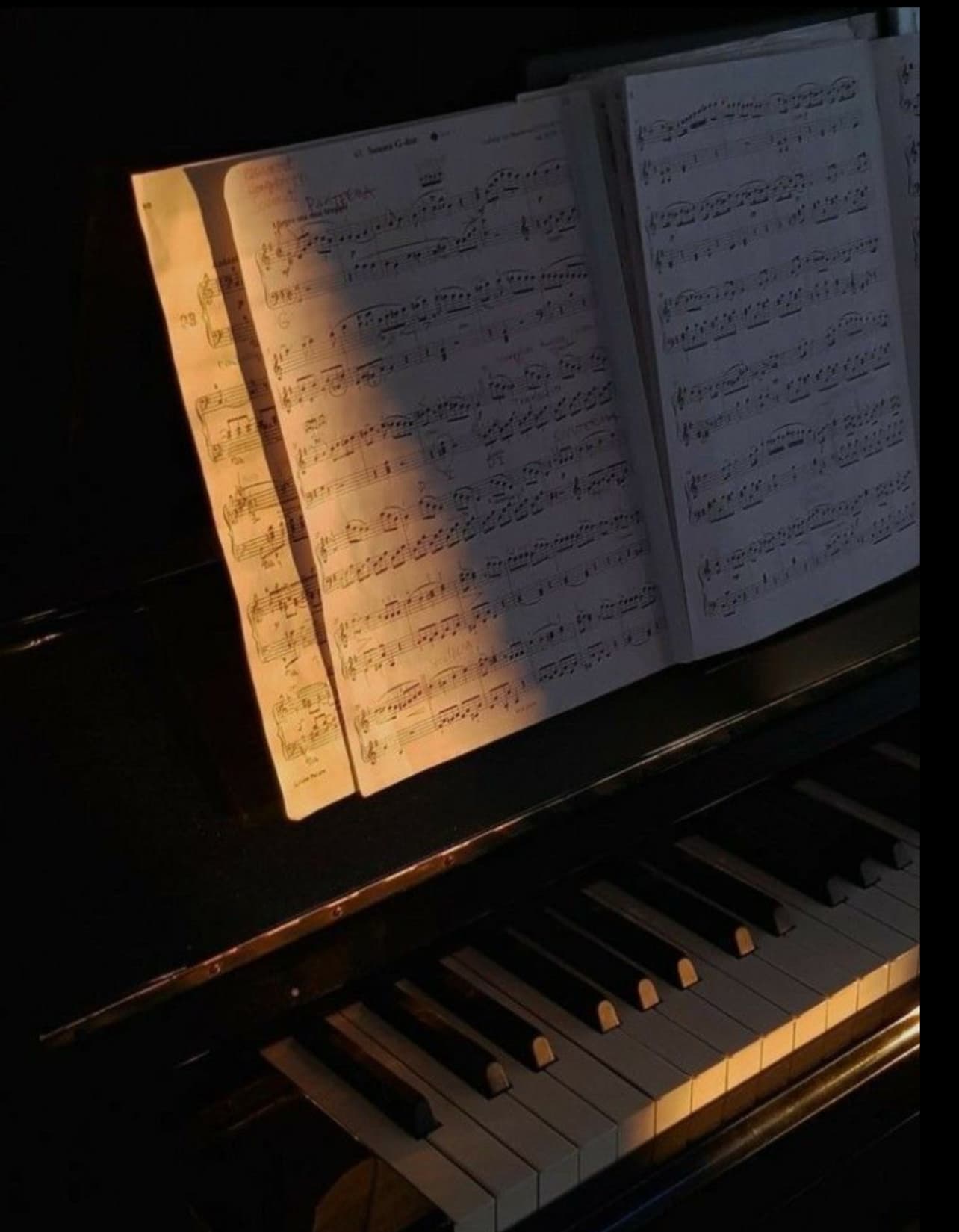 User avatar for PianoGuy