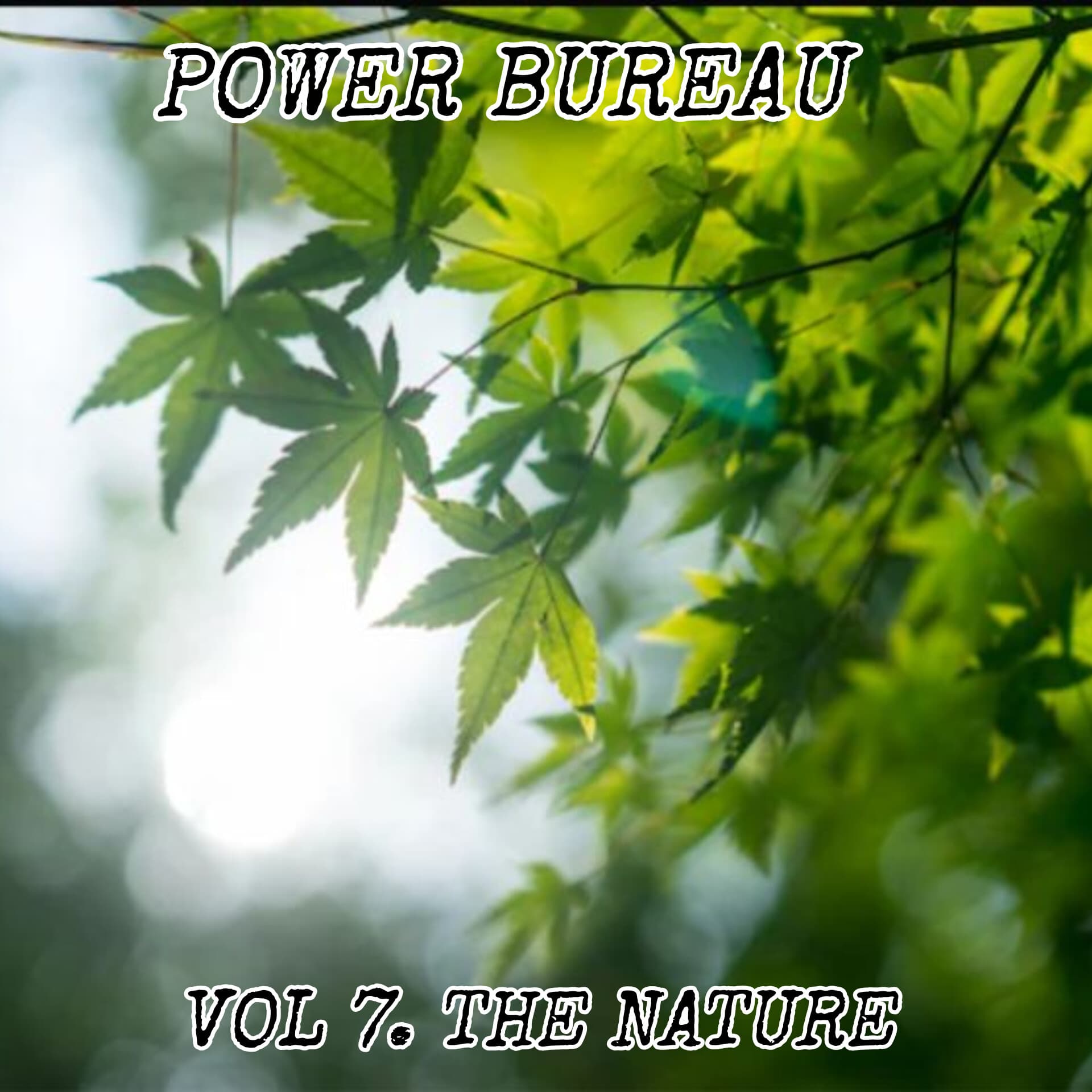 Album art for Vol 7 THE NATURE