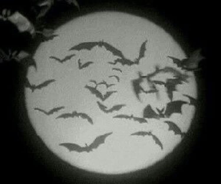 User avatar for MORGUE
