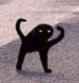 User avatar for cerulean