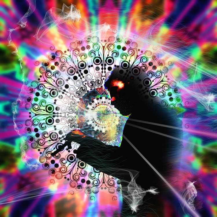 Instrumental Asylum