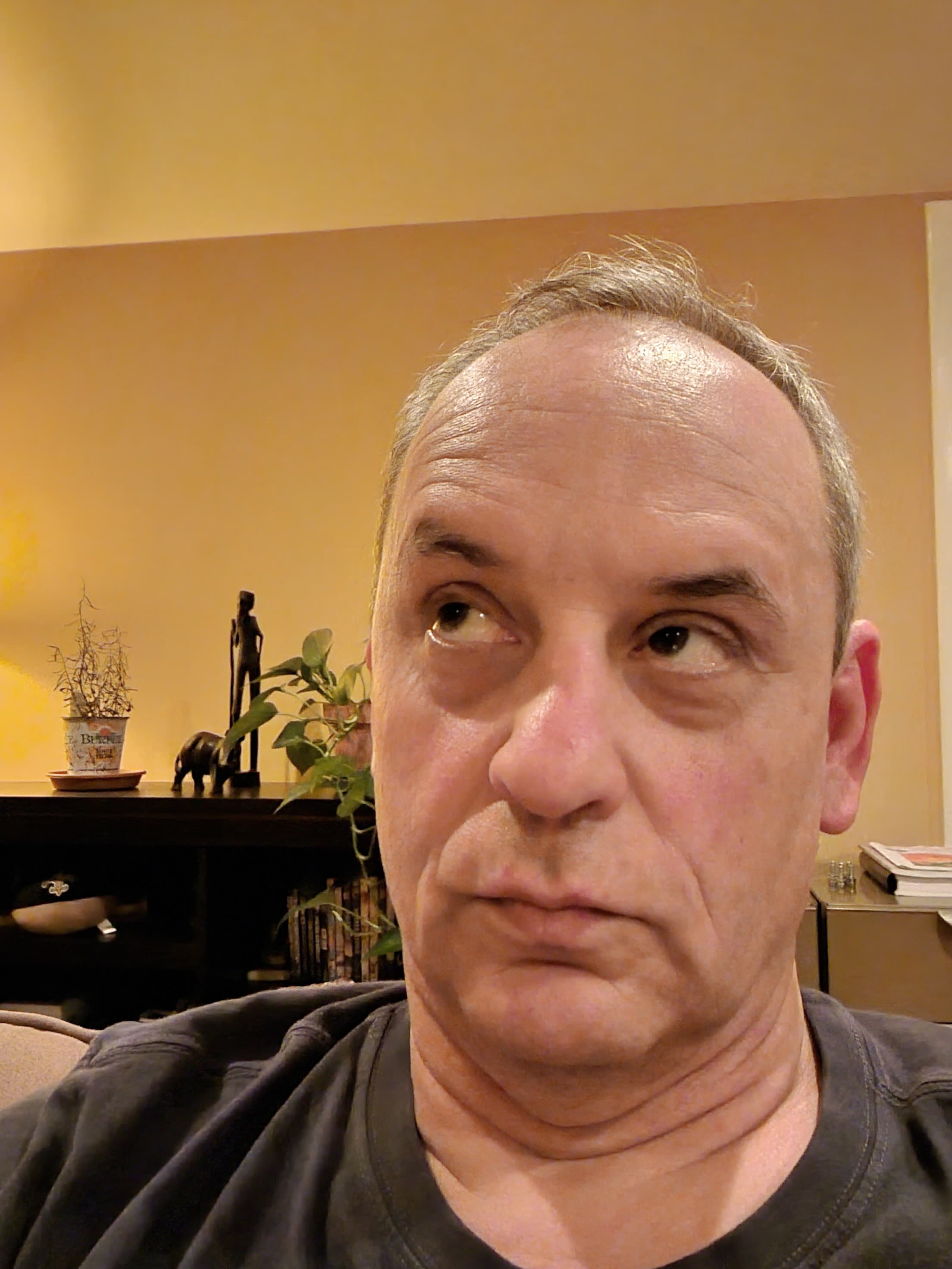 User avatar for Gwalchgwynn
