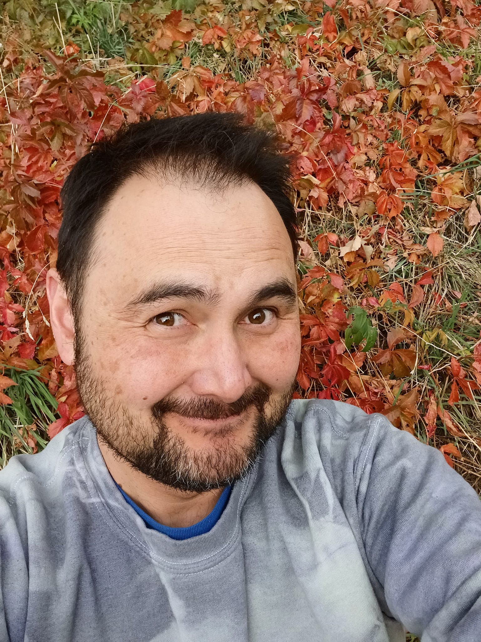 User avatar for Lionbarber