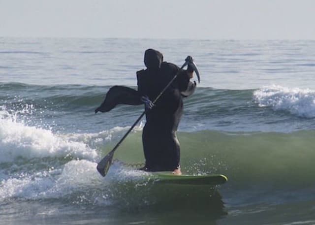 Andrew D