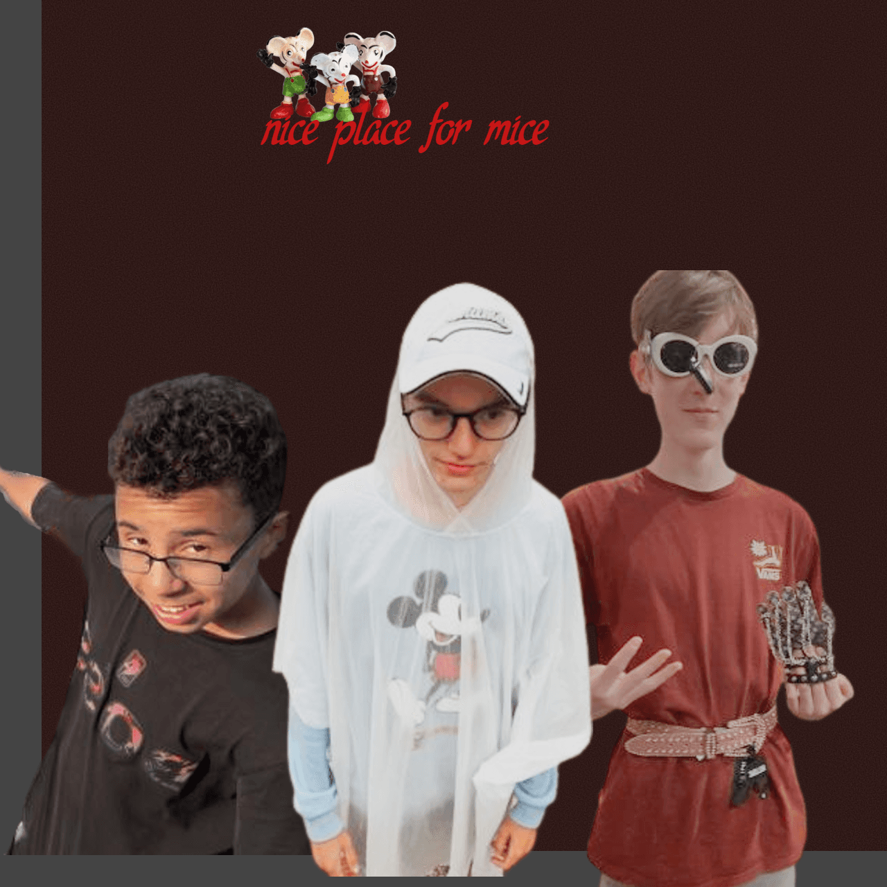 User avatar for Nice Place for Mice