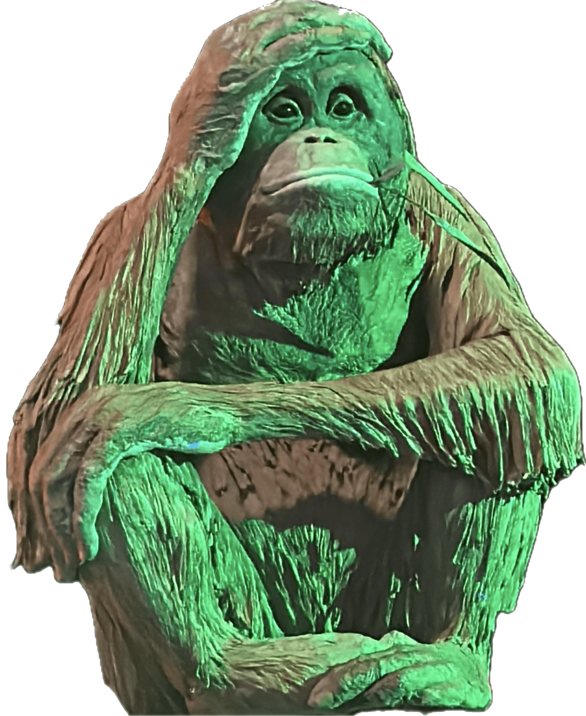 User avatar for Rich Stone