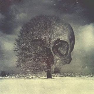 Nightborn